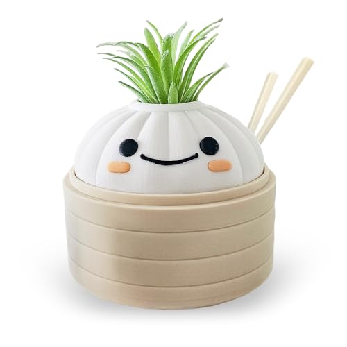Mivi Collection Kawaii Dimsum Succulent Plant Pot, Cute Dumpling Desk Planter, Mini Bamboo Basket, Small Office Gift, Asian Food Decor, Unique Gift Idea
