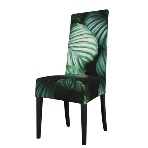 YOFIEN Funda elástica para Silla de Comedor, extraíble y Lavable, con Estampado de Hojas Tropicales Verdes.