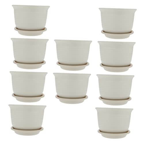 BESPORTBLE 10 Juegos Maceta suculentas House d'casa decoración Jardin Plant Pot jardín Flowers Cesta Plantas Falsas Planta Falsa Cajas Mapa de Flores el plastico contenedor de Plantas Beige