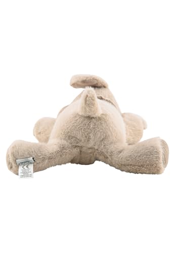 Sterntaler Schlaf Gut Figur Hund Lucky - Baby und Kinder Einschlafhilfe aus weichem Flausch - Kuscheltier mit Soundmodul hilft beim Einschlafen - Geräuschmodul mit beruhigenden Tönen, graubeige