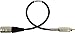 SESCOM Canare Star-Quad Cable XLR Male to RCA Phono Male 100 Foot - Black