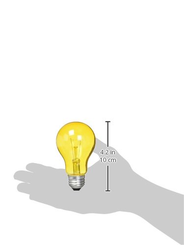 Westinghouse Lighting 0344300, 25 Watt, 120 Volt Trans Incandescent A19 Light Bulb-2500 Hours, 1 Pack, Amber #TOP21