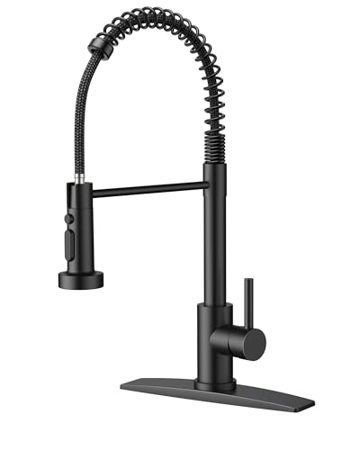 FORIOUS Black Kitchen Faucet with Pull Down Sprayer, Stainless Steel