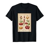 Cherry, Beefsteak & Sungold Tomatoes