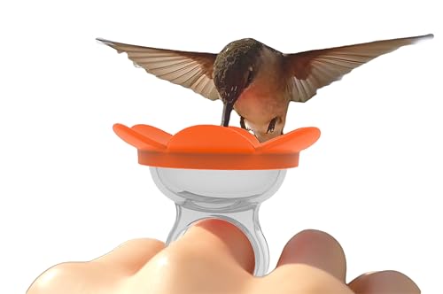ZUMMR Hummingbird Ring Feeder (Orange)