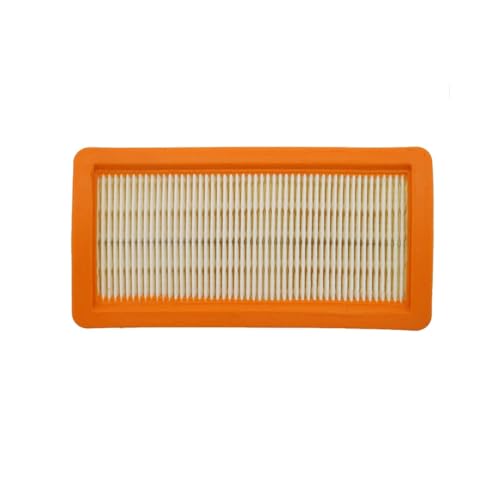EVAYP Filtro HEPA para aspiradora/apto para Karcher 6.414-631.0 apto para DS 5500, DS 5600, DS 6000, DS 5800