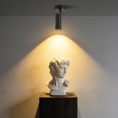 Image of 20W LED Zoomable Ceiling Spot Lights, 3000K Dimmable Spotlight Indoor,Black