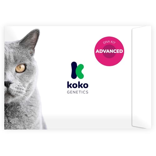 Koko Genetics Advanced DNA Test for Cats, Analyzes & Identifies 40+ Breeds, Ancestry, Offers 146+ Genetic Health and Traits Reports, Lifetime Updates Included