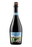 Vita Mediterranea Lambrusco Emilia IGT - Vino Rosso Biologico, 750 ml