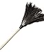 Professional Ostrich Feather Duster with 13 in. Wood Handle - Natural