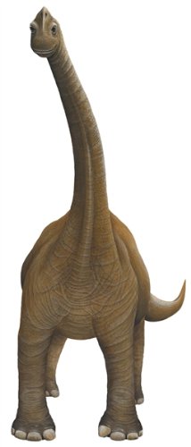 Walls Of The Wild Economy Size Dinosaur Wall Decals Collection Includes 12 Reduced Size Dinosaur Wall Stickers (Entire Panel Is 48 In. X 48 In.) #TOP4