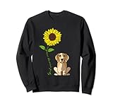 Photo Gallery buongiorno sunshine funny beagle dog mom felpa Photo Gallery buongiorno sunshine funny beagle dog mom felpa