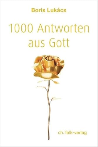 Preisvergleich Produktbild 1000 Antworten aus Gott