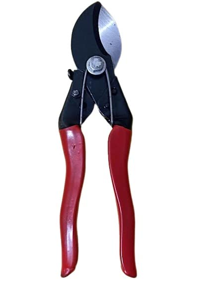See full amazon price history chart for Aarav Heavy Duty Plant Cutter, Garden Scissors, Plant Branch Cutter, Pruner Cutter, Flower Cutter For Home Gardening Tool (Double Cut) Aarav Heavy Duty Plant Cutter, Garden Scissors, Plant Branch Cutter, Pruner Cutter, Flower Cutter For Home Gardening Tool (Double Cut) (B0BV7GYK1V) Amazon Price History, Amazon Price Tracker