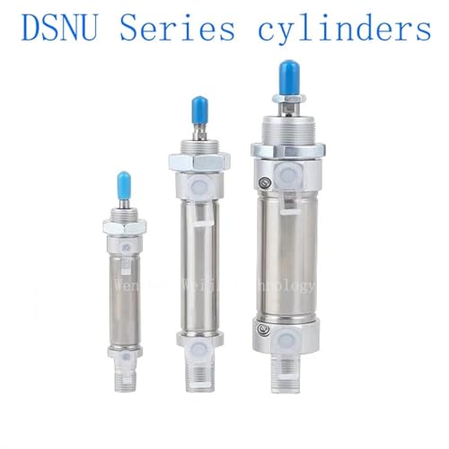 Cylindre pneumatique rond robuste DSNU en acier inoxydable premium - 3