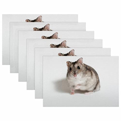 Set de table hamster facile à nettoyer pour table propre et protégée