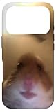 Hamster Meme Videocall Home Office Home School Funny Hamster Case for iPhone 17 Pro