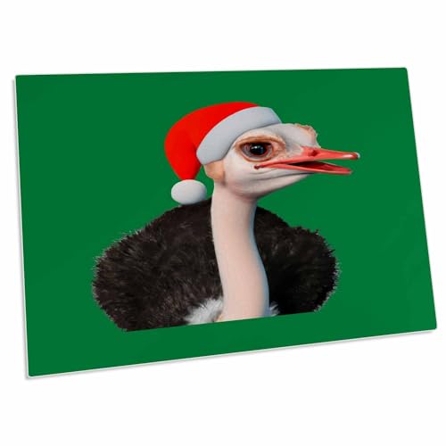 3dRose Escritorio Grande en Forma de Avestruz con Gorro de Santa