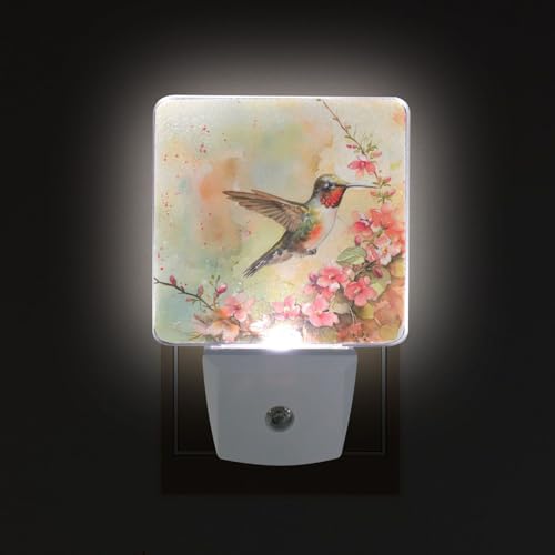 Image of Flower Hummingbird Night Lights 2 Pack Plug-in Wall Led Nightlight Auto Dusk-to-Dawn Sensor Lamps for Bedroom Kitchen Bathroom
