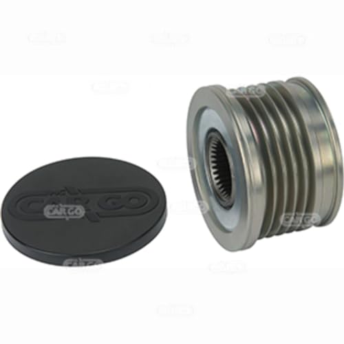 Rueda libre de alternador F 032 333 133 polea libre HC-Cargo de recambio