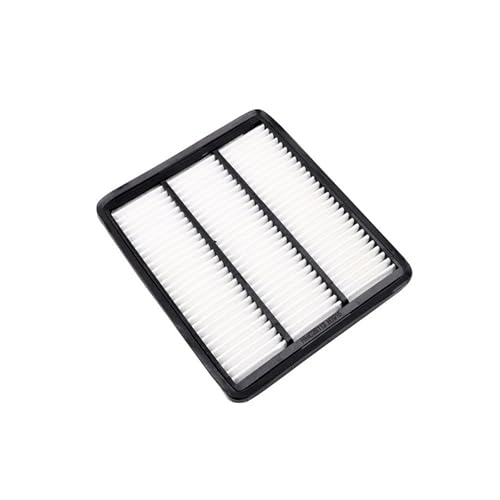 Filtre à air moteur haute efficacité pour Hyundai Terracan Hawtai 28113-H1915