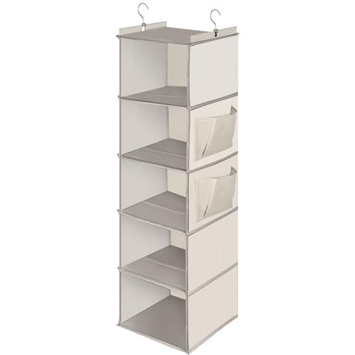 Cozary Étagère de penderie à Suspendre 5 Niveaux, Rangement Suspendu Pliable, Rangement Penderie avec Renfort Intérieur, Tissus Rangement Etagere Suspendue...