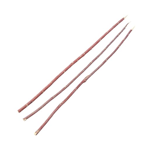 Abaodam BBQ Skewers 100pcs Corn Barbecue Forks Wooden Grill Tools for Family BBQ