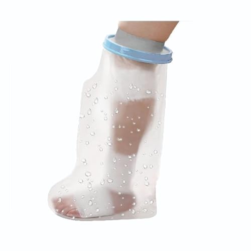 KIXZSAZ V[Jo[lqhїǂV[܋rrVCی샊OX[u, l̒Z