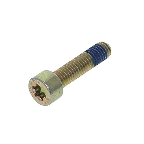 Amazon.com: Bosch 2914552175 Torx SH Cap Screw : Automotive