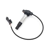 Bobine D'allumage 38010144B 38010145B Pour 790 Pour Ducati 790 821 848 1098Accessoires Moto Bobine d'allumage