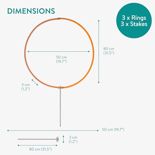 Navaris 3X Ring Agility Set Hunde klein und mittelgroß - 3er Hunde Agility Set - 3 Ringe für Hundesport Hundeparcour - Hunde Training Zubehör - Agility Hund Ringe - Orange