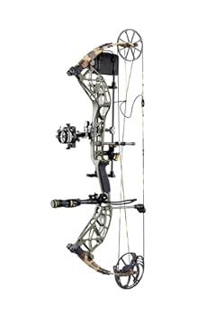 bow hunting a bear