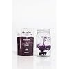 Qualia Synthetic Fabric Dye, Easy to Use, Perfect for Synthetic Fabrics: Polyester, Spandex, Nylon, and More, Ultra-Concentrated Colors for Vibrant Results, Aubergine Purple, 1 Pack