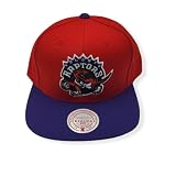 Wool 2 Tone Snapback Toronto Raptors