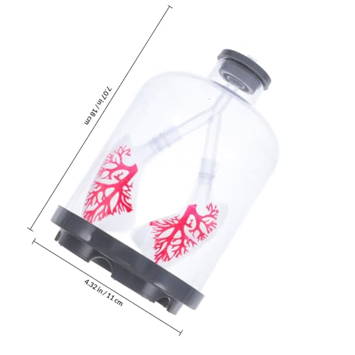 Modelo de respiración pulmonar interactivo con simulación realista de Zerodeko 2