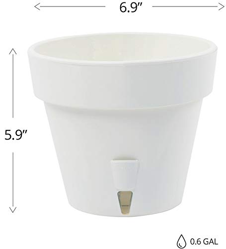 Santino Self Watering Planter Latina 6.9 Inch Shade Flower Pot With Bottom Watering And Water Level Indicator For Indoor/Outdoor Use For All Plants, Flowers, Herbs #TOP1