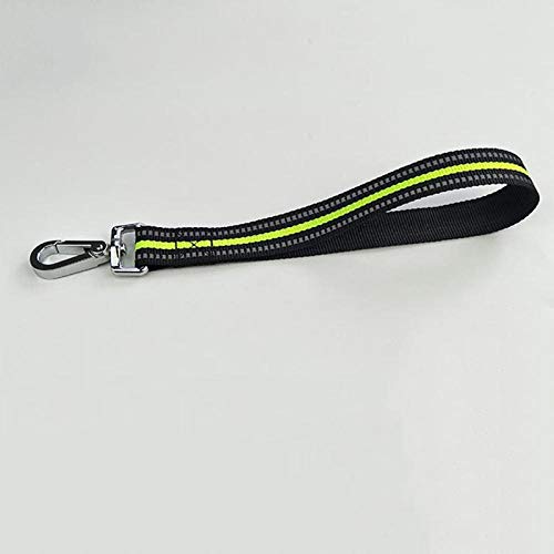 Laisse de grand chien anti-traction courte et robuste pour balade