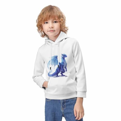 Sweat pull dinosaure avec capuche idée cadeau originale pour anniversaire garçon et fille - 3