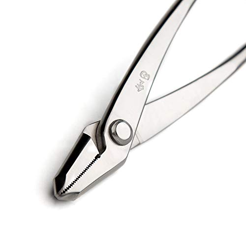 Tianbonsai 0713524385408 Master Grade 205 Mm Jin Pliers Bonsai Training Wire Pliers 5Cr15Mov Alloy Steel Bonsai Tools Made thumb #3