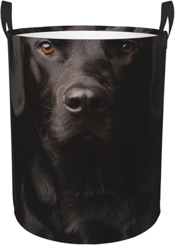 ꂽ̂ ꂽ DSȗ{qgꂽ̃uh[ [ 󕨓 [{bNX ܂ e G [obO QA󎺁A Vvł[ M