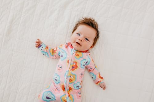 Image of Copper Pearl Abby and Pals Zip-Up Footie Baby Pajamas - Ultra-Soft Boys and Girls Pajamas, Premium Knit Fabric in Stylish Prints, Tag-Free with Two-Way Zipper, Newborn to 24 Months