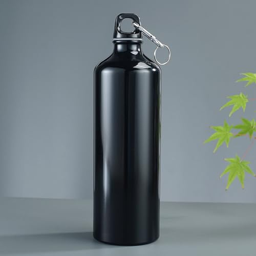 Cantimploras de Aluminio Marca Lazooy