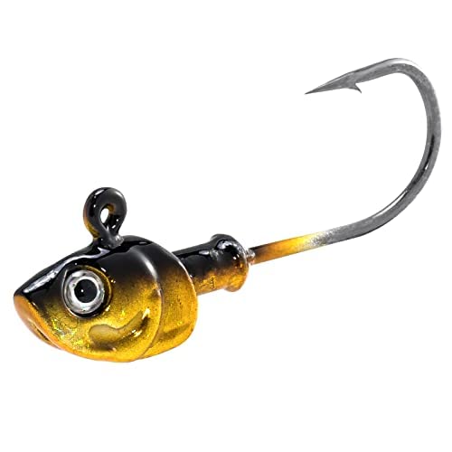 Dr.Fish 10 Pack Swimbait Jig Heads, Saltwater Fishing Jig Heads 3D Eyes High Carbon Steel Hooks Surf Fishing Lures Flounder Striper Halibut Pompano