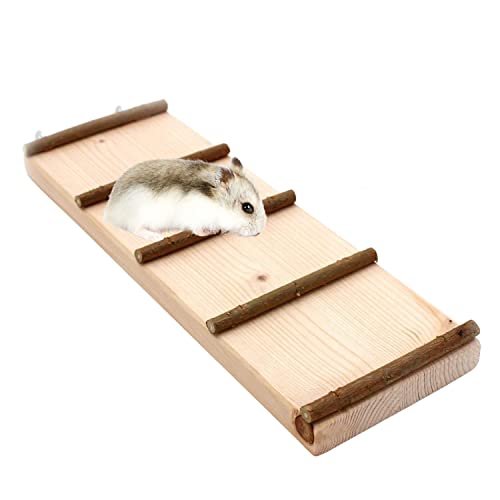 Vogelgaleria Échelle avec Barres en Bois Naturel pour Rongeur (Hamster, Cochon d'Inde, etc.) Cover