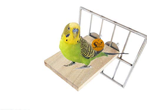 Sage Square Rectangle Natural Wood Platform 3"*4" - A Perfect Perch and Playground for Your Feathered Friend,Promote Physical and Mental Well-Being, Create a Natural Habitat. (B07V8KL5C5) Amazon Price History, Amazon Price Tracker