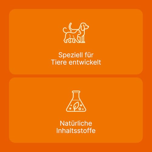 SUC-Kombination von Heel Vet | 3x10 Ampullen | Natürliche Tierarzneimittel für Hunde und Katzen | Made in Germany
