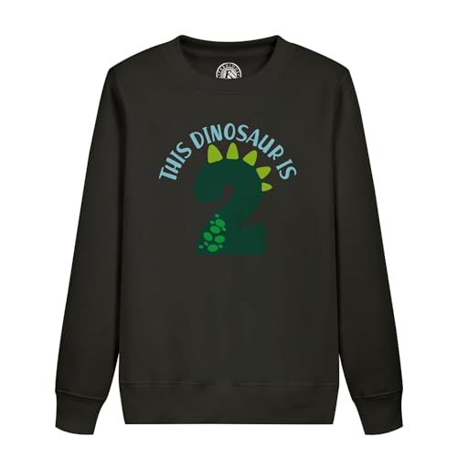 Sweat enfant sur le theme des dinosaures pour une fete d anniversaire reussie