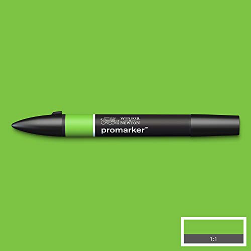 Image of Winsor & Newton Promarker, Alcohol Based Markers, Bright Green (G267), Double Tipped Drawing Marker for Artists, Graphic Designers, Illustrators - Chisel & Fine Twin Tip, Streak Free Coverage