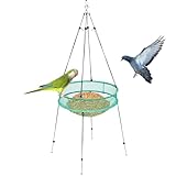 Cercle de piège à oiseaux sauvages - Barres pliantes résistantes aux intempéries, Anneau de piégeage pour oiseaux,Pour terrain de pelouse de jardin extérieur