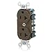 Leviton 8300-PL 5-15R Power IND HG Recep Brown